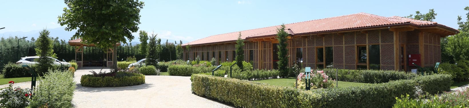 Türkiye’nin en verimli ceviz bahçesi