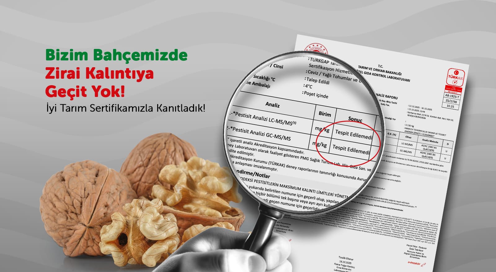 May Ceviz tanıtım videosu