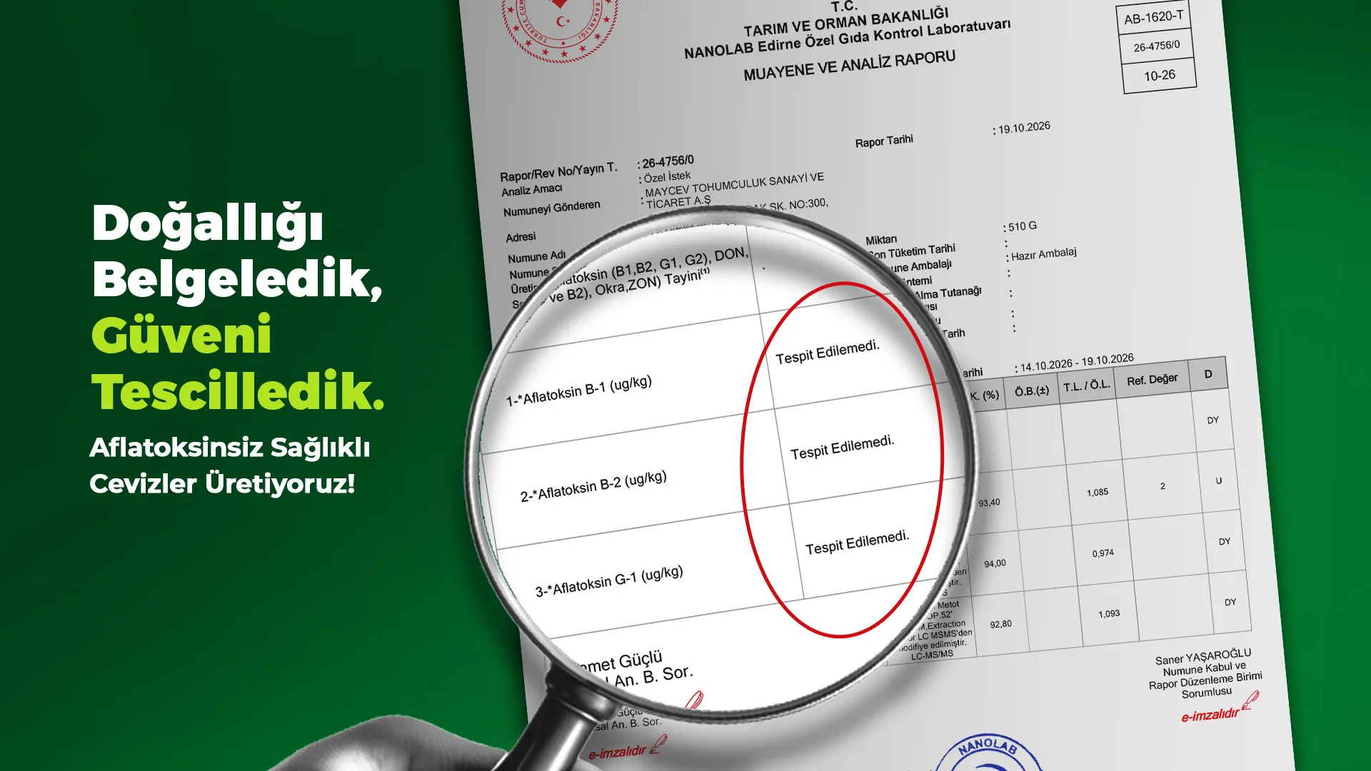 Aflatoksinsiz sağlıklı cevizler üretiyoruz — 2026 aflatoksin analiz raporu